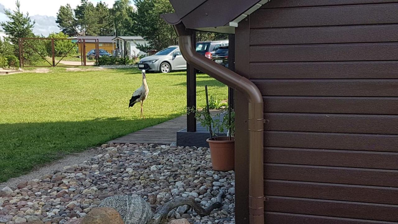 Privati Valda Daire Šventoji Dış mekan fotoğraf